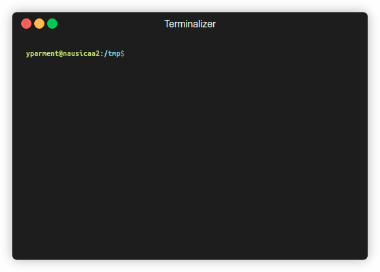 'Gif illustration of taln2x command line'